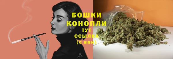 трава Богданович