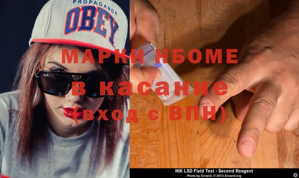 трава Няндома