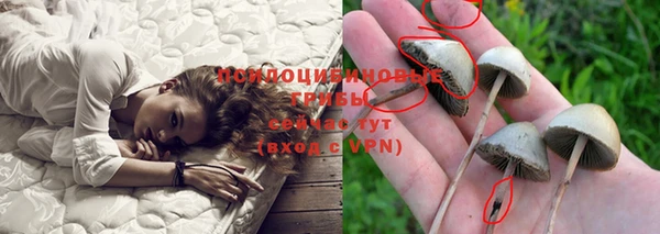 трава Богданович
