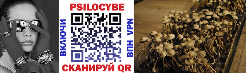 Псилоцибиновые грибы Psilocybine cubensis  Мостовской 